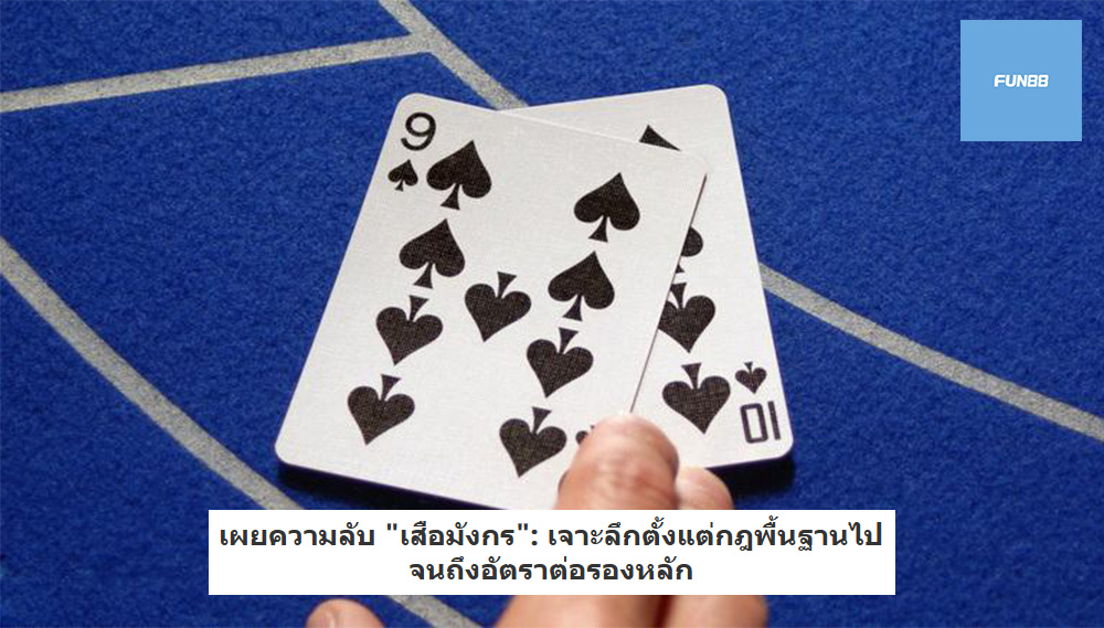 เผยความลับ "เสือมังกร": เจาะลึกตั้งแต่กฎพื้นฐานไปจนถึงอัตราต่อรองหลัก